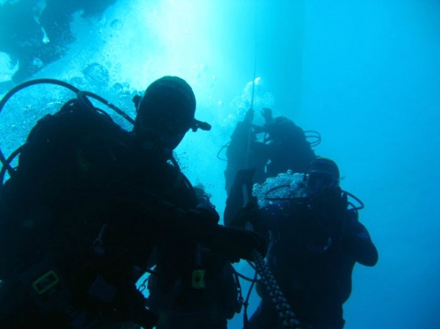 Courses of various levels 